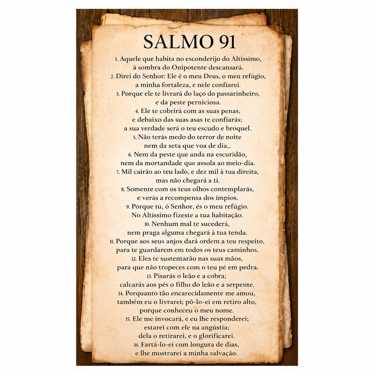 PISO SALMO 91 32X58 60094 BRILHANTE- INCOPISO