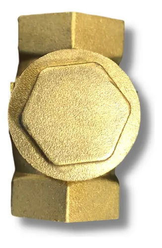 Valvula Retenção Horizontal 3/4 Com Portinhola Metal - Japi